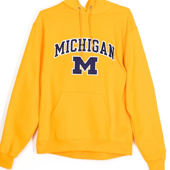 CHAMPION MICHIGAN HOODIE - Picture 3 of 3